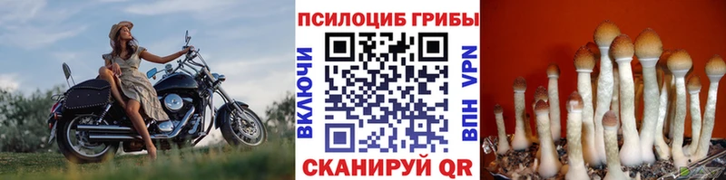 Галлюциногенные грибы прущие грибы  darknet официальный сайт  Петров Вал 